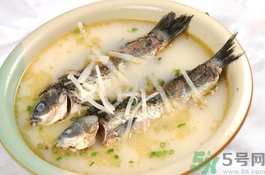 鯽魚可以和什么一起煲湯?鯽魚和什么燉湯好喝?