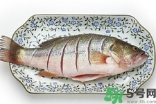 秋季適合吃什么魚(yú)？秋季吃魚(yú)的好處？