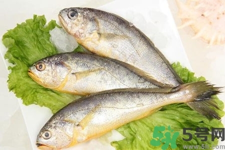 秋季適合吃什么魚？秋季吃魚的好處？