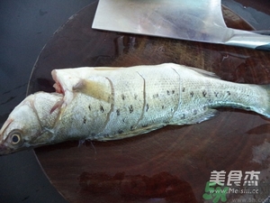 鱸魚蒸多長時間？鱸魚怎么蒸？