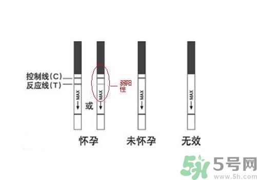 怎么測是否懷孕？早孕試紙怎么用？