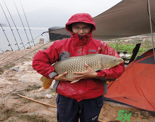 十月份可以釣魚嗎？十月份釣魚用什么餌料？