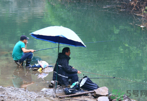 釣的魚怎么保存？釣的魚吃不完怎么保存？