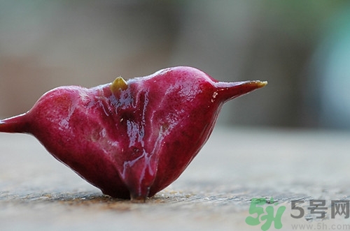 菱角可以蒸著吃嗎?菱角蒸多長時間熟