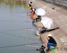 水庫釣魚用什么餌料？水庫釣魚用什么商品餌？