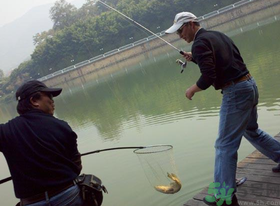 秋季釣黑魚用什么魚餌？秋天釣黑魚用什么餌？