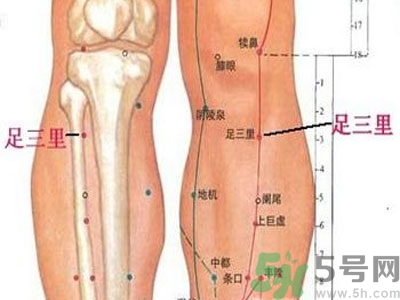 艾灸足三里有什么好處？艾灸足三里的功效