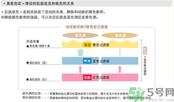 covermark中草藥粉底色號(hào)試色 covermark中草藥粉底專柜價(jià)格