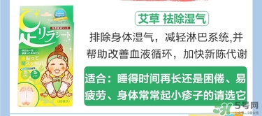 樹之惠足貼5款區(qū)別？樹之惠足貼哪款好用？