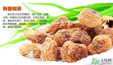 巴西蘑菇怎么吃？巴西蘑菇的作用與功效