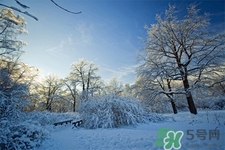 下雪天開車常識及技巧你知道嗎？下雪天開車的注意事項