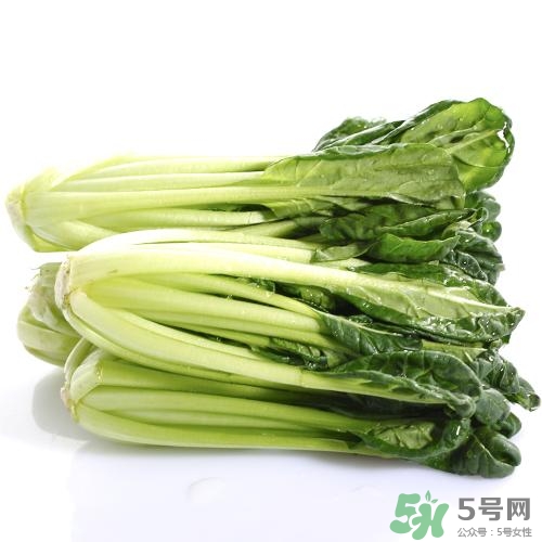 烏塌菜的營養(yǎng)價(jià)值 烏塌菜的功效與作用