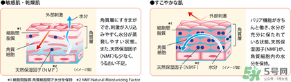 minon氨基酸乳液真假 minon乳液真假鑒別