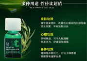 the body shop茶樹精油怎么用？美體小鋪茶樹精油怎么打開