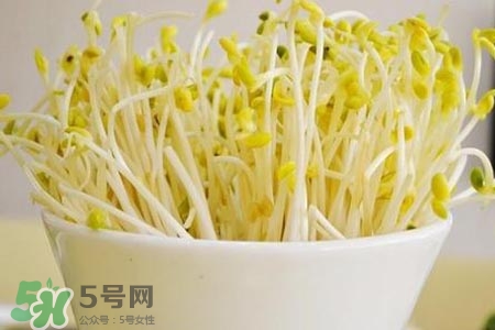 冬天可以發(fā)豆芽嗎？冬天怎樣發(fā)黃豆芽？