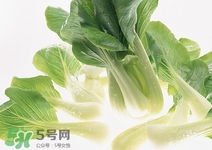 小白菜可以生吃嗎?小白菜生吃好嗎