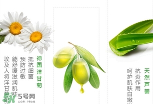 德國小甘菊護(hù)手霜新舊包裝區(qū)別 德國小甘菊護(hù)手霜新舊包裝對比