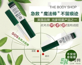 the body shop茶樹急救棒怎么用？美體小鋪茶樹祛痘急救棒用法