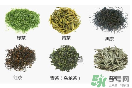 吃完飯能馬上喝茶嗎？飯前喝茶好還是飯后喝茶好？