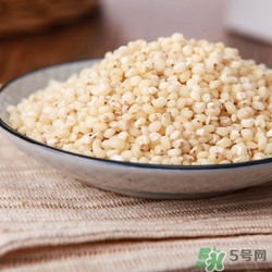 高粱米可以直接煮飯嗎?高粱米怎么煮飯