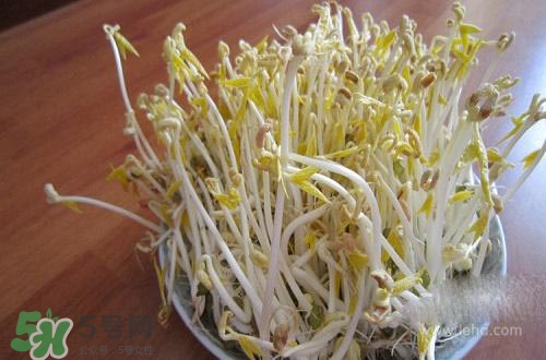 豆芽糖尿病可以吃嗎？糖尿病吃豆芽有什么好處？