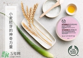 the body shop維e晚霜怎么用？美體小鋪維e晚霜使用方法