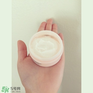 the body shop維e晚霜怎么用？美體小鋪維e晚霜使用方法