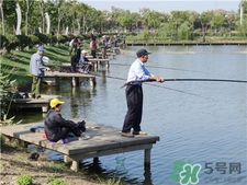 開春釣魚用什么餌料?開春釣什么魚好?