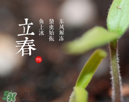 立春吃什么蔬菜？立春時令蔬菜推薦