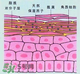 敷面膜真的有效嗎？敷面膜真的有用嗎？