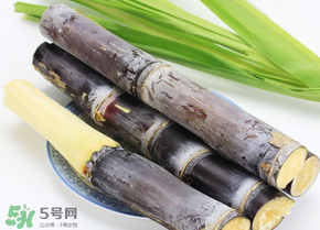 甘蔗為什么會(huì)變黑？甘蔗放久了為什么會(huì)變黑？