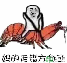 說人皮皮蝦是什么意思？女生叫男生皮皮蝦什么意思？