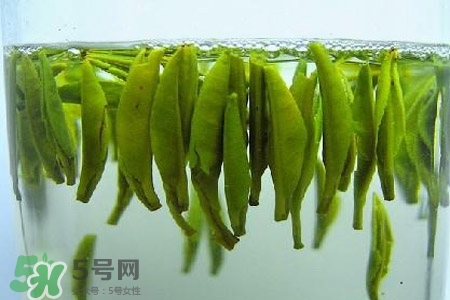 紫砂壺可以泡什么茶？紫砂壺喝什么茶好？