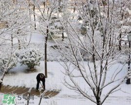 春天下雪意味著什么？春天為什么會下雪？