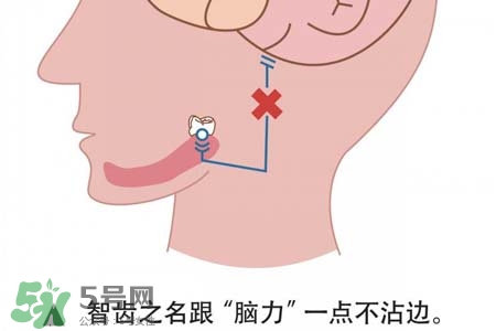 智齒會(huì)引起耳鳴嗎？耳鳴跟智齒有關(guān)系嗎？