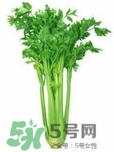 負(fù)卡路里的食物有哪些？負(fù)卡路里食物真的吃不胖嗎？