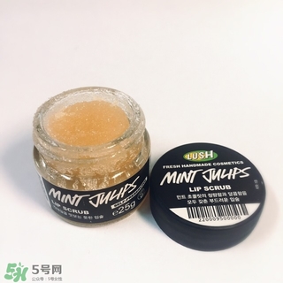 lush唇部磨砂膏怎么用？lush唇部磨砂膏使用方法