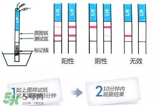 早孕試紙什么時候測最準？早孕試紙什么時候可以測出來