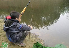 驚蟄能釣魚嗎？驚蟄釣什么魚好？