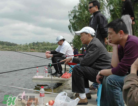 驚蟄過(guò)后好釣魚嗎？驚蟄后陰雨天好釣魚嗎？