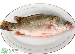 三月份吃什么魚？3月份吃什么魚好？