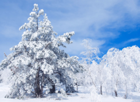 三月份還會(huì)下雪嗎？哈爾濱三月份還有雪嗎？