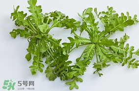 薺菜是什么菜？薺菜是什么野菜？