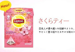 立頓櫻花紅茶多少錢？lipton立頓櫻花紅茶哪里買價格