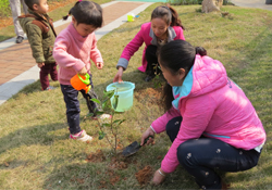 植樹節(jié)一般種什么樹？植樹節(jié)種什么樹比較好？