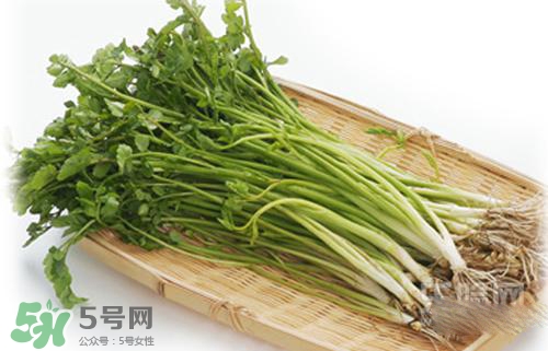 吃野芹菜會中毒嗎？吃野芹菜中毒了怎么辦？