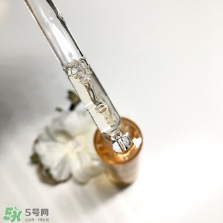 嬌蘭黃金蜜原蜜怎么用？嬌蘭黃金蜜原蜜使用方法