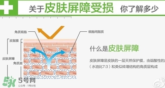 玉澤和至本哪個(gè)好？玉澤和至本區(qū)別對(duì)比