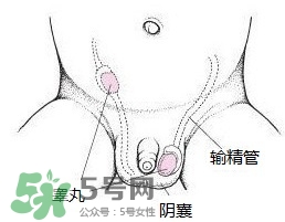 寶寶氙氣怎么辦 寶寶氙氣護(hù)理方法