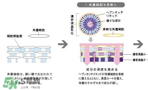 pola極光精華怎么用？pola極光精華使用方法